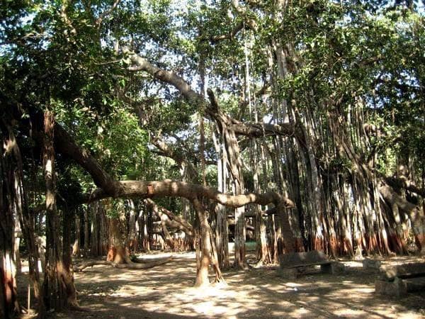Kabirvad Temple