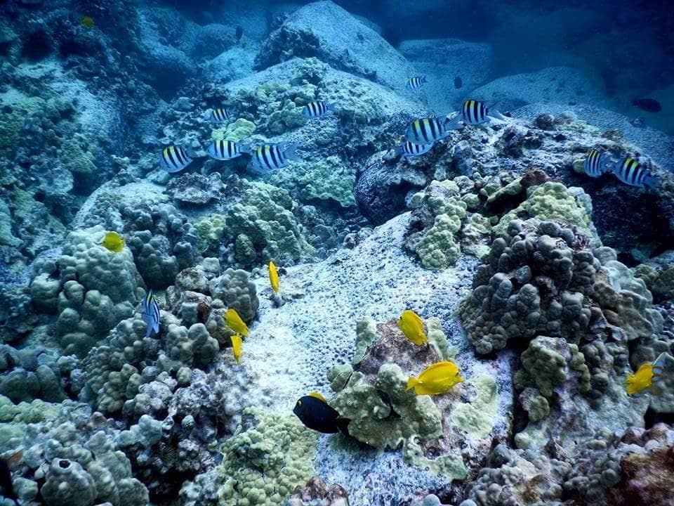 Crystal-Clear Turquoise Waters