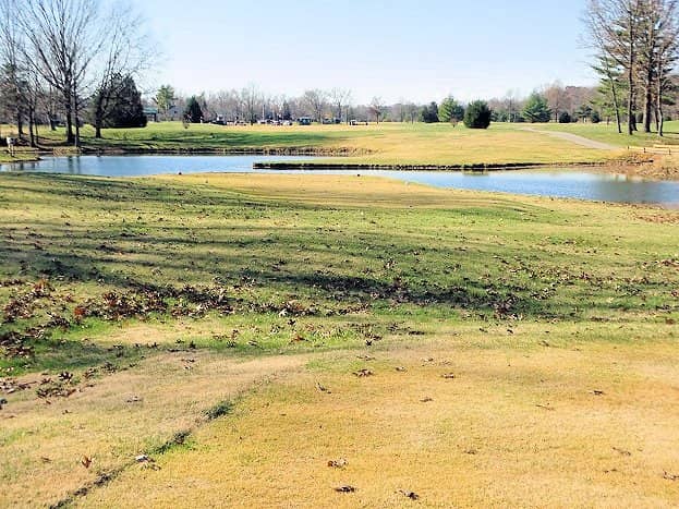 Immaculate Greens