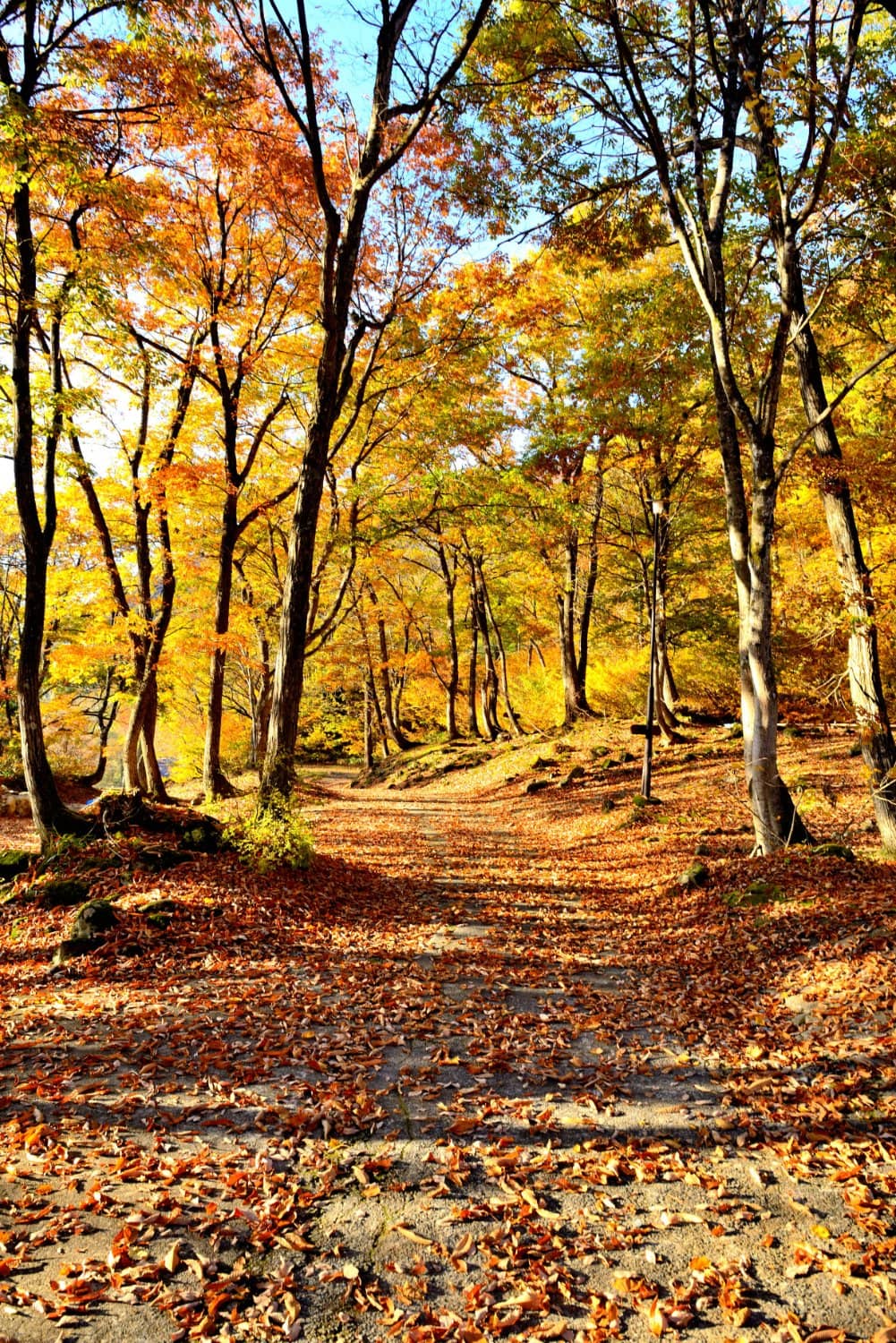 Delicious On-Site Dining