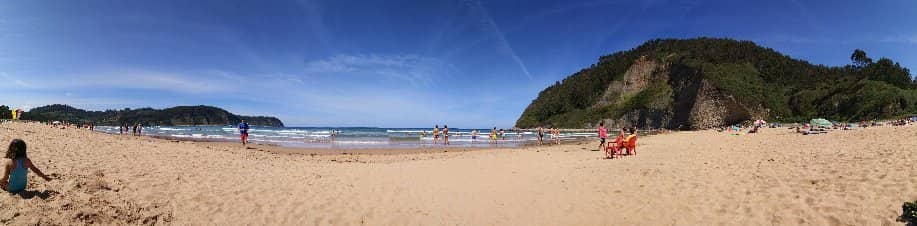 Wooden Boardwalk Stroll