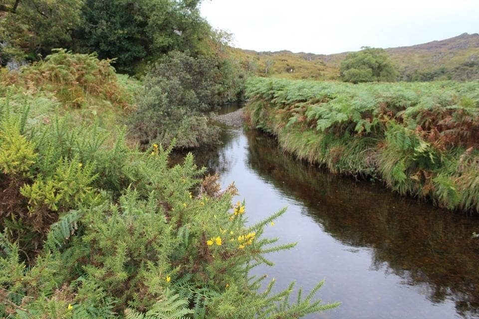 Torc Waterfall