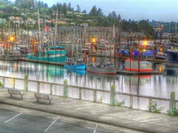 Working Fishing Docks