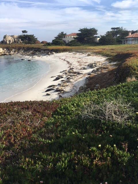 Scenic Ocean View Drive