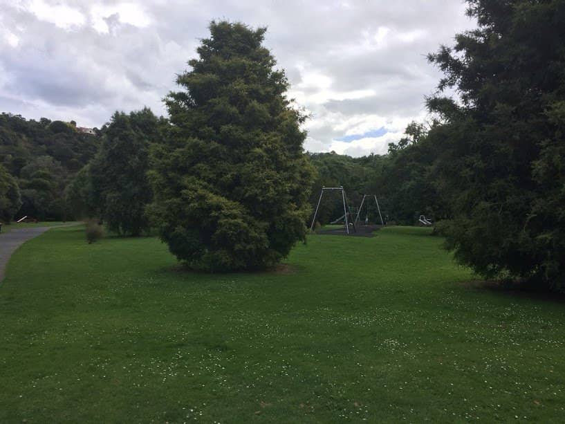 The Playground Adventure