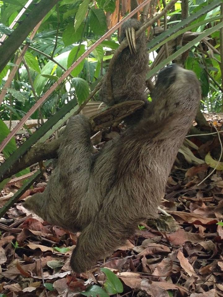 The Home's Architecture and Ambiance