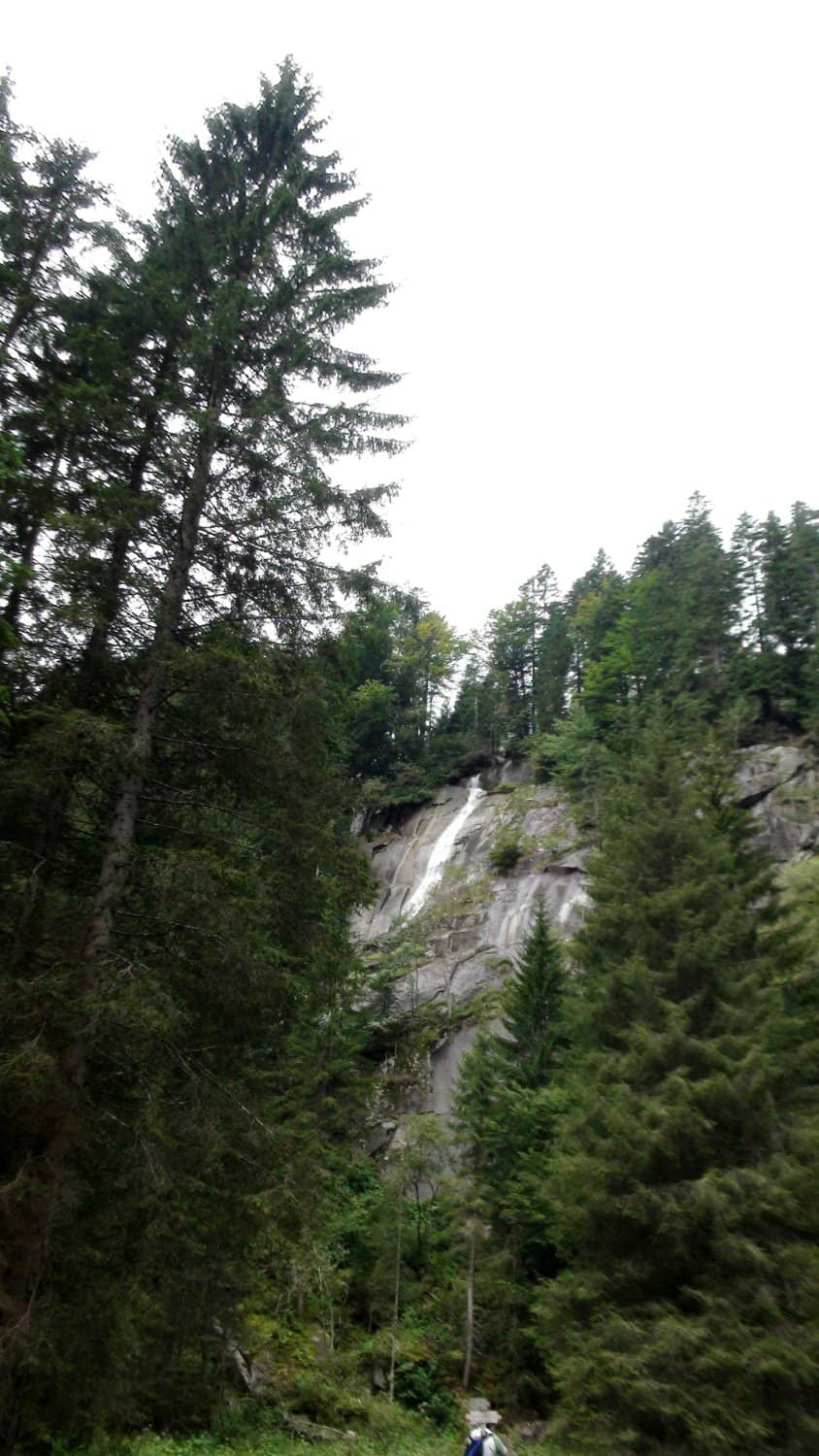 Striking River Colors