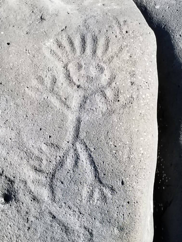 Tropic of Cancer Marker