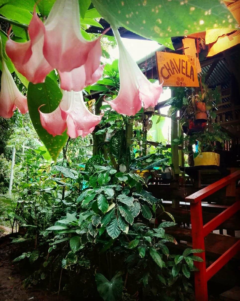 Perfectly Cooked Meats