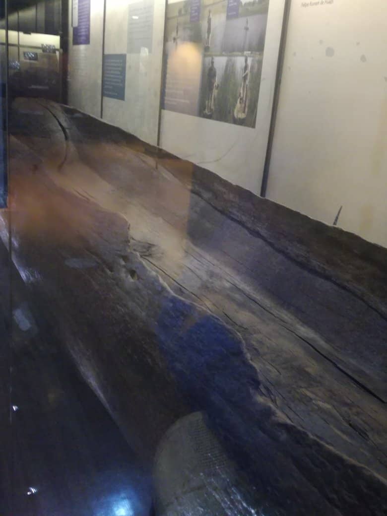 Pioneer Women's Stories