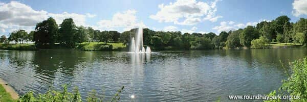 Playgrounds and Sports Fields