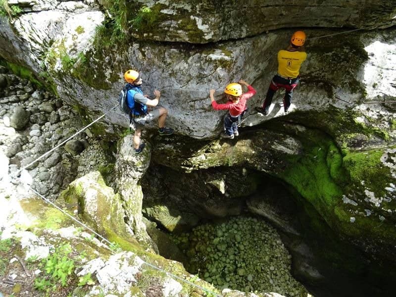 Expert Guidance and Photos