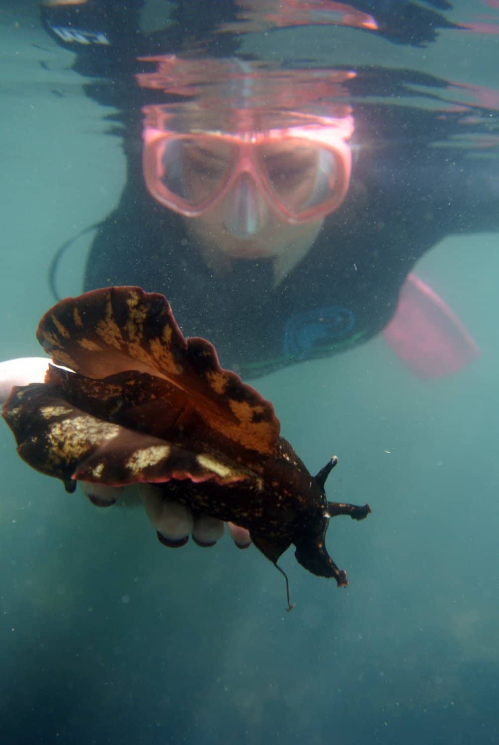 Crystal Clear Waters