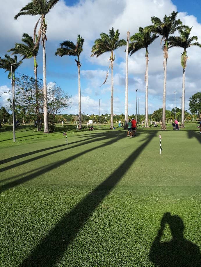 L'Orchidea Restaurant