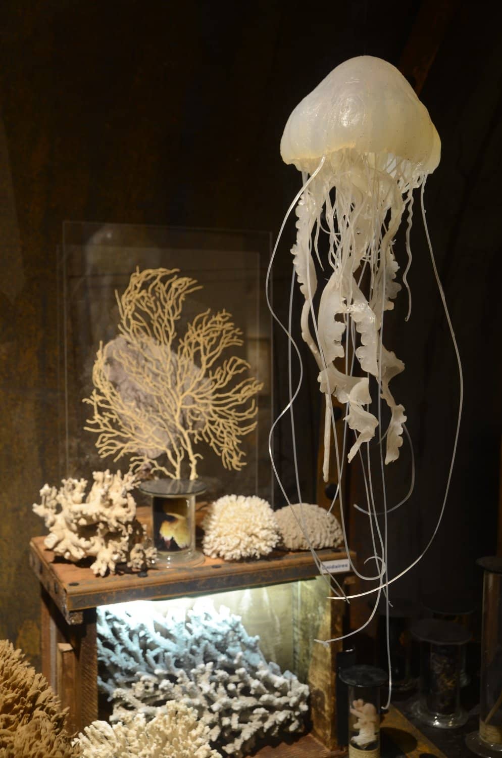 Engaging for All Ages