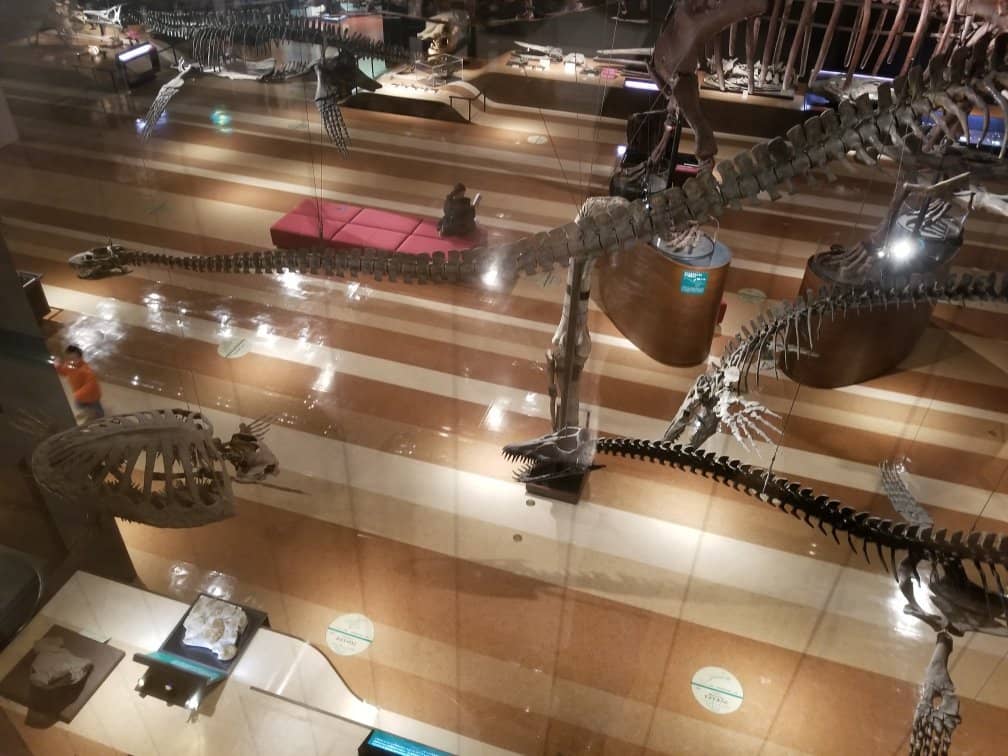 Replica Coal Mine Experience