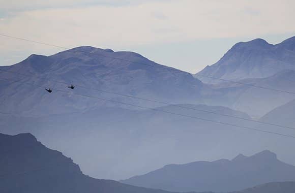 Adrenaline-Pumping Flight