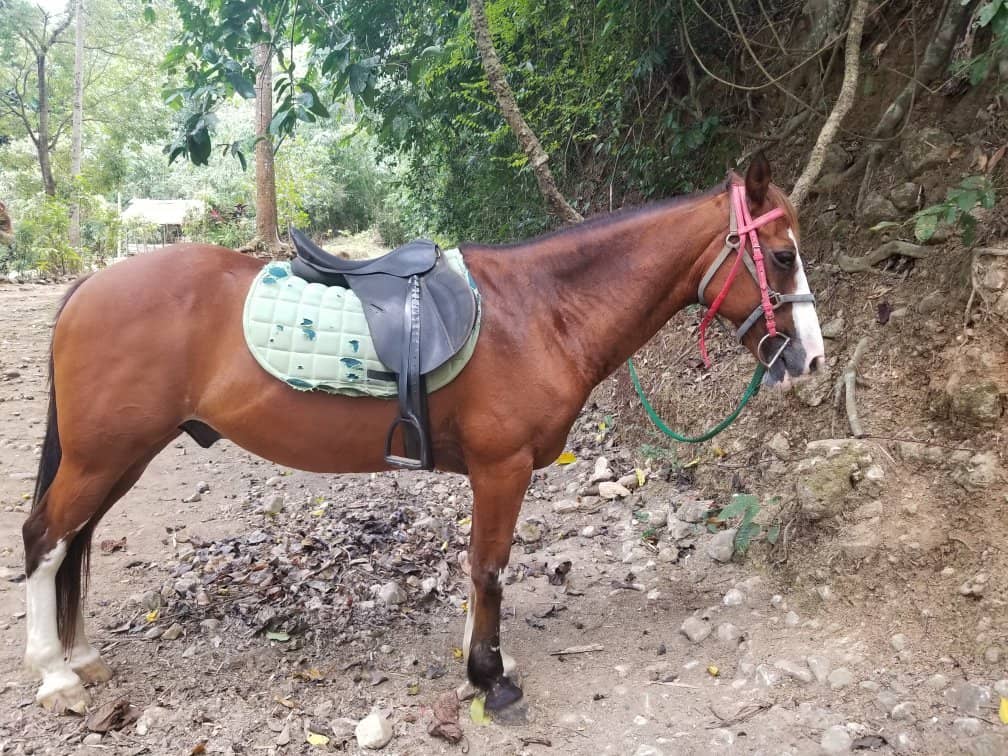 Rustic Ranch Atmosphere