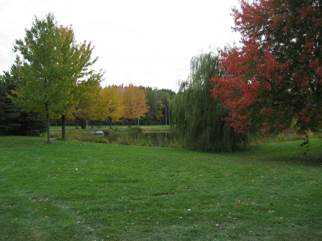Autumnal Splendor