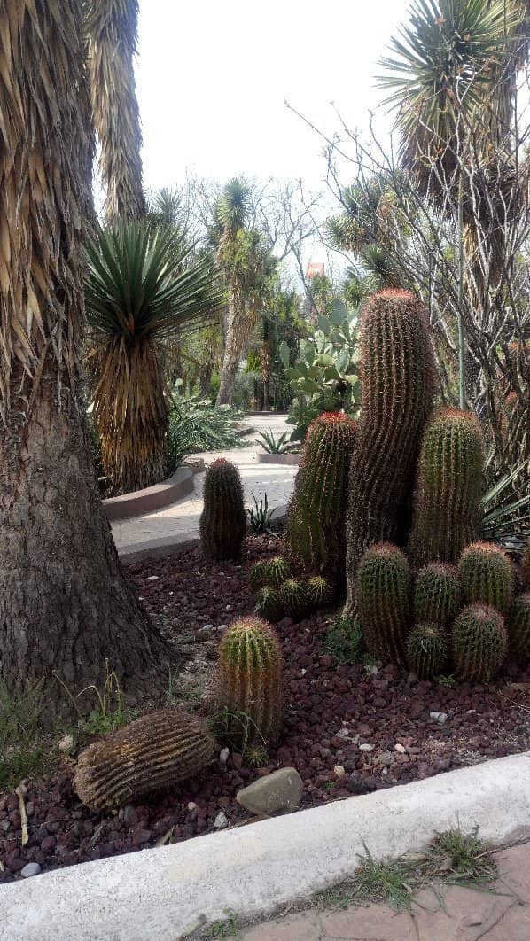 Picnic and Relaxation Areas