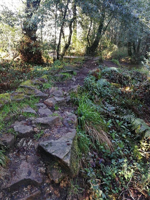 Historic Water Mills