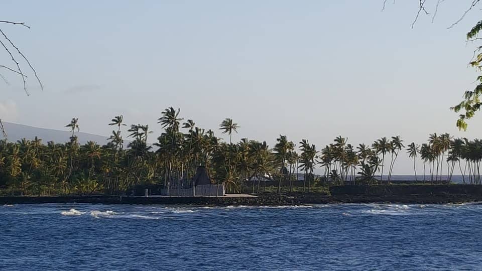 Royal Grounds