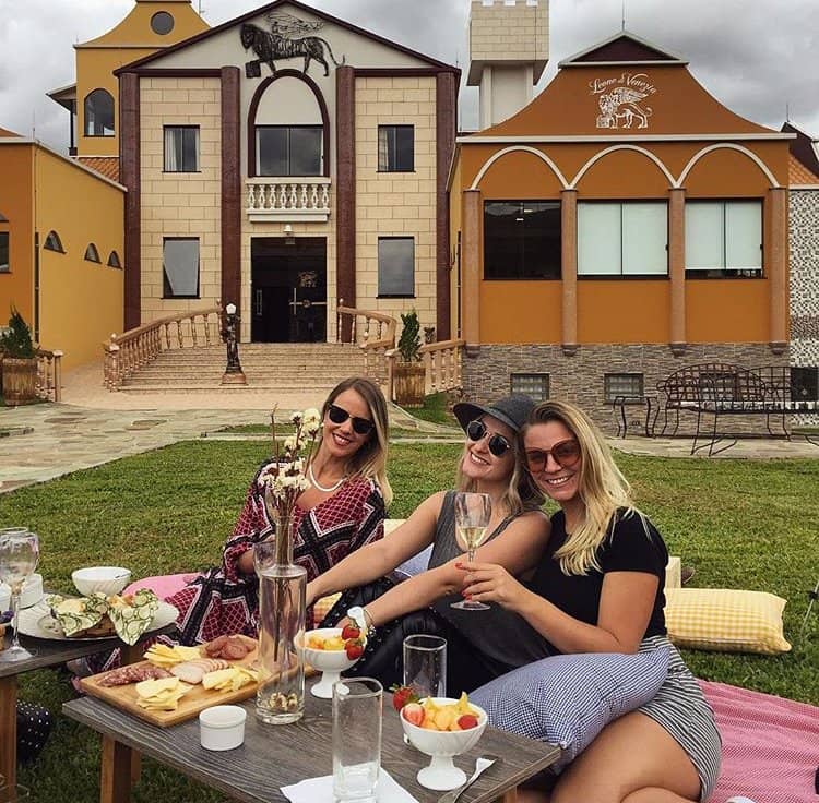 Scenic Vineyard Views