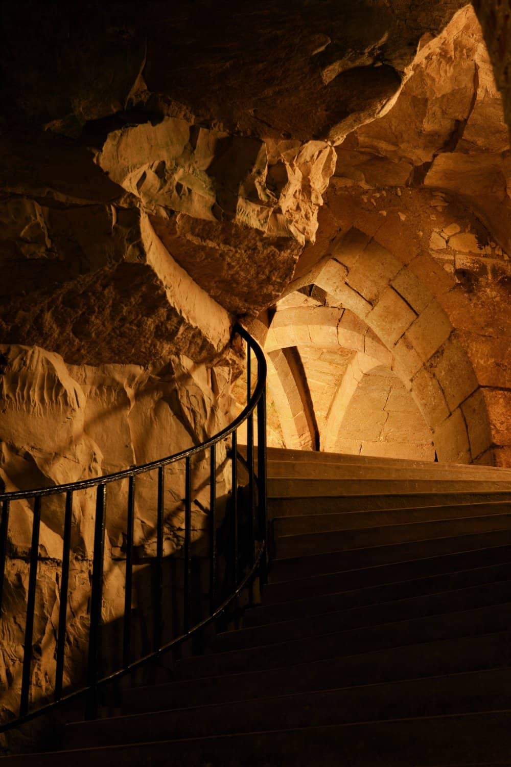 Expert Guided Tours