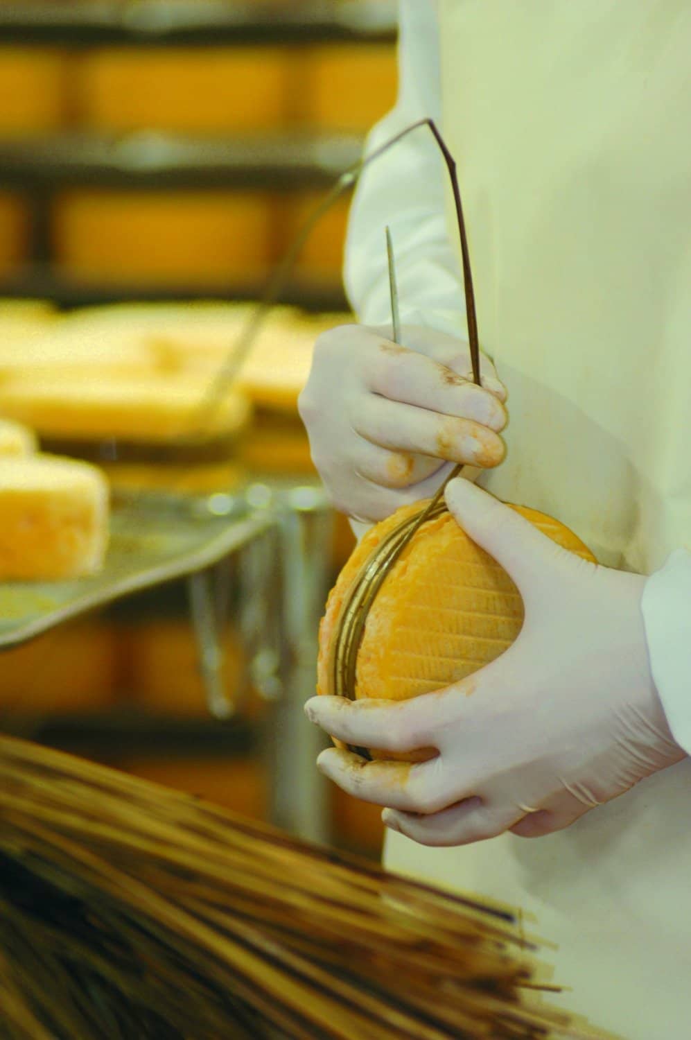 Norman Cheese Tasting