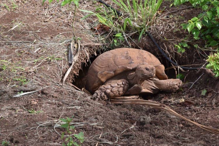 Makauwahi Cave Reserve