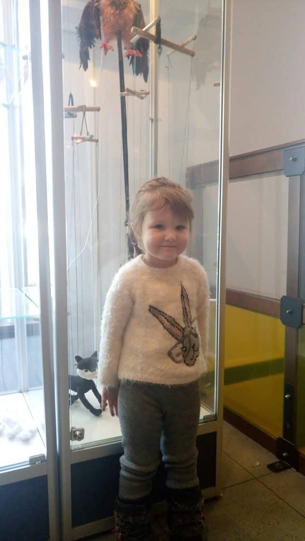 Engaging Performances for All Ages