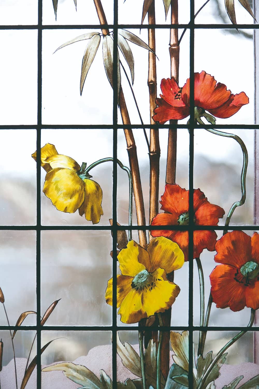 Passionate Guided Tours