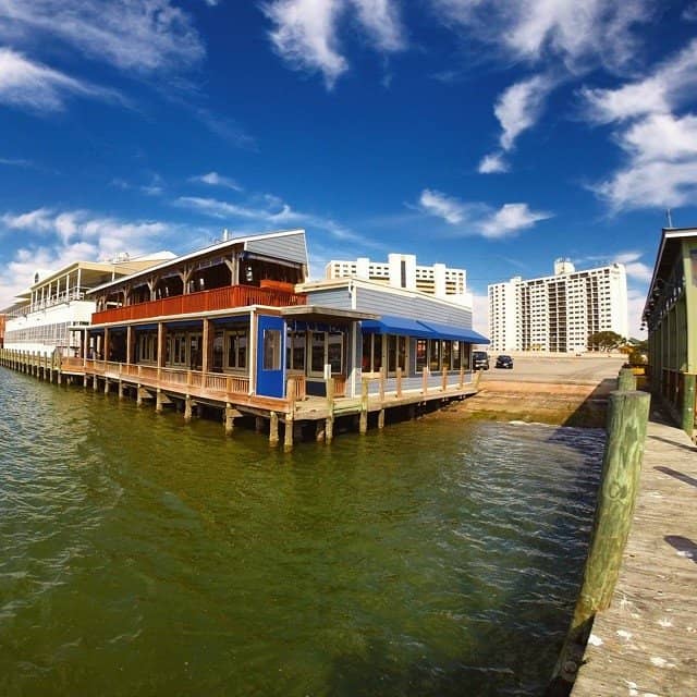 Freshly Caught Seafood