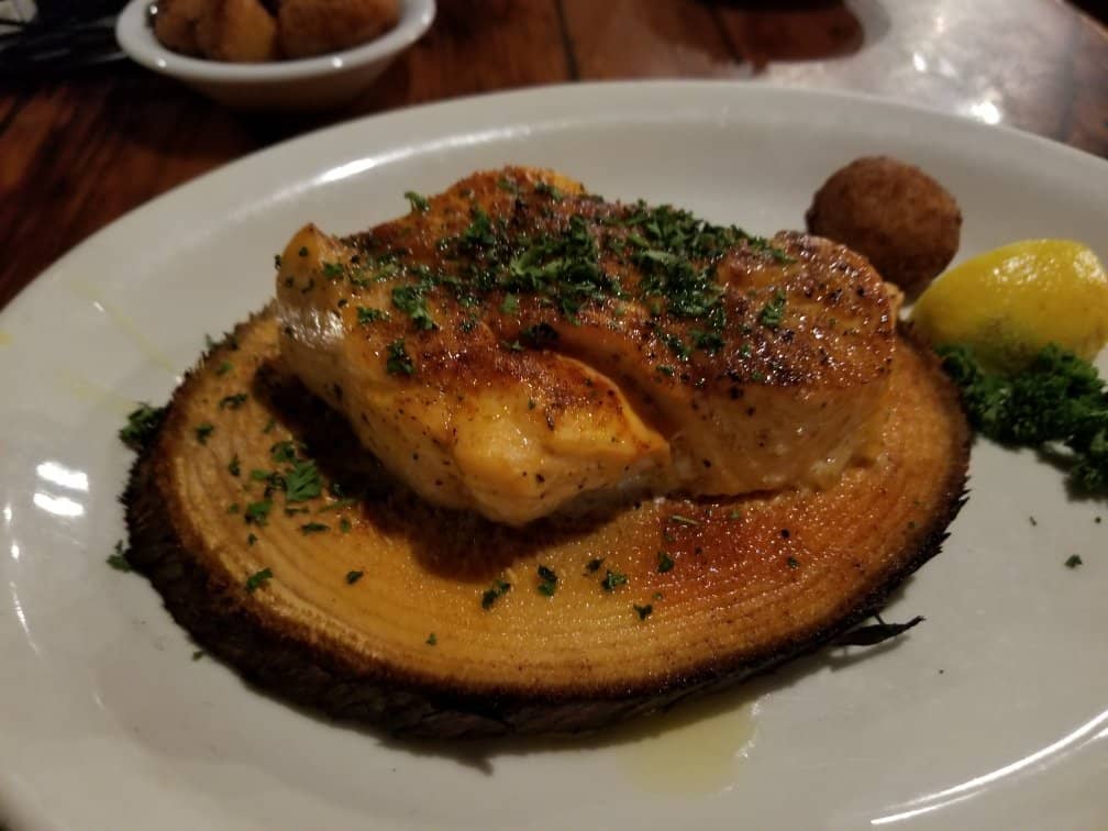 Dolphin Ecotour & Shell Island