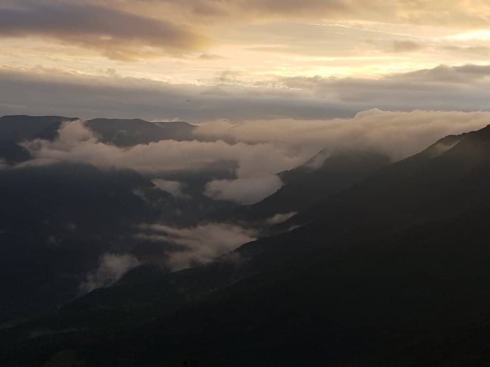 Canyon Views from Above