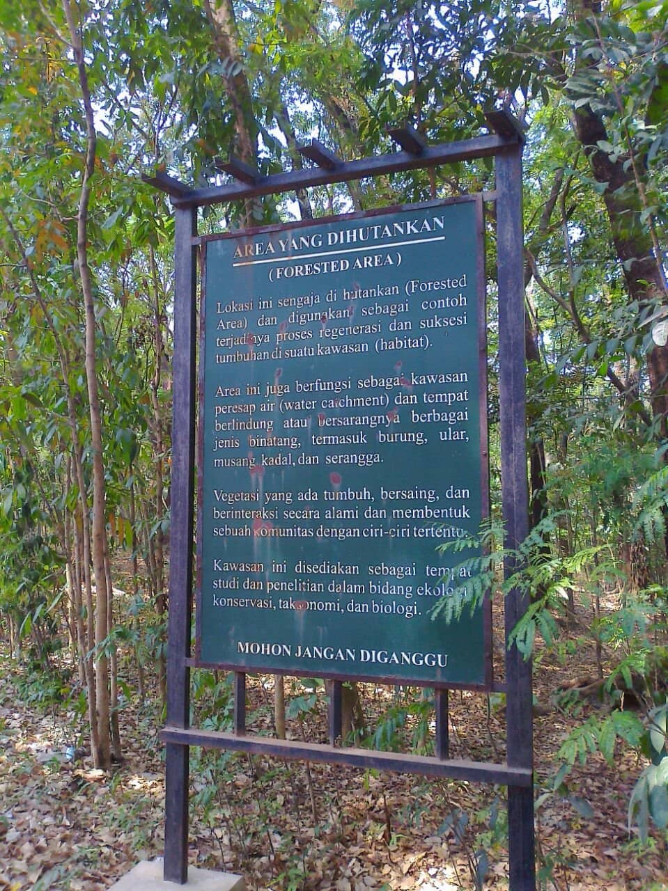Wooden Museum