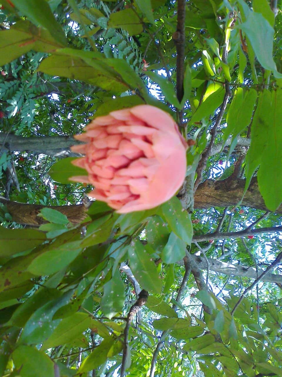 Recreational Activities