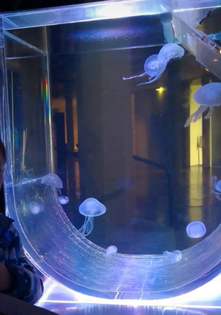 Cinematic Screenings