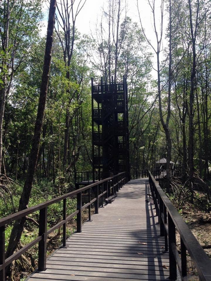 Sea Excursion & Shipwreck