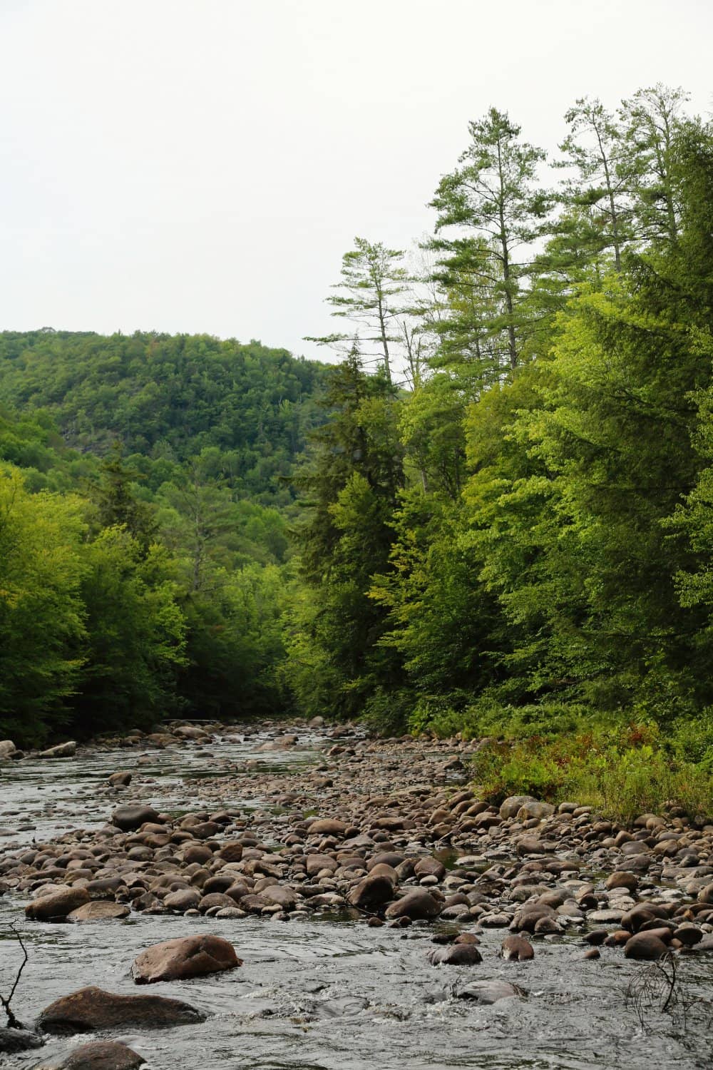 Family-Friendly Adventure