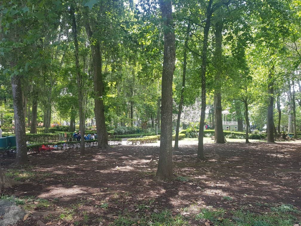 Children's Playgrounds