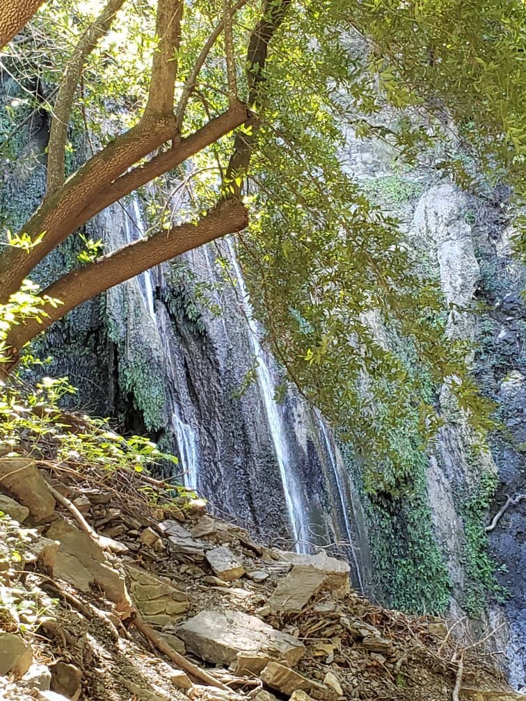 Shaded Oak Trail