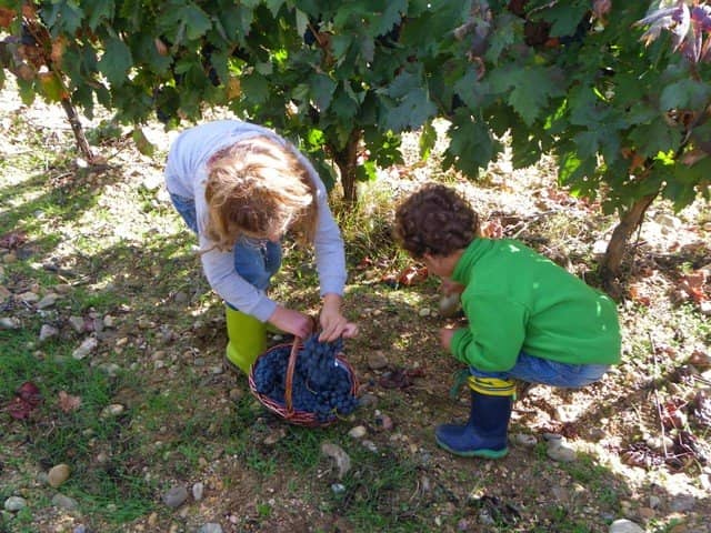 Generous Wine Tasting