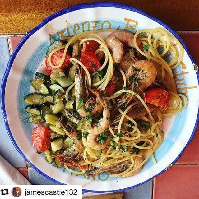 The Scenic Shuttle Boat