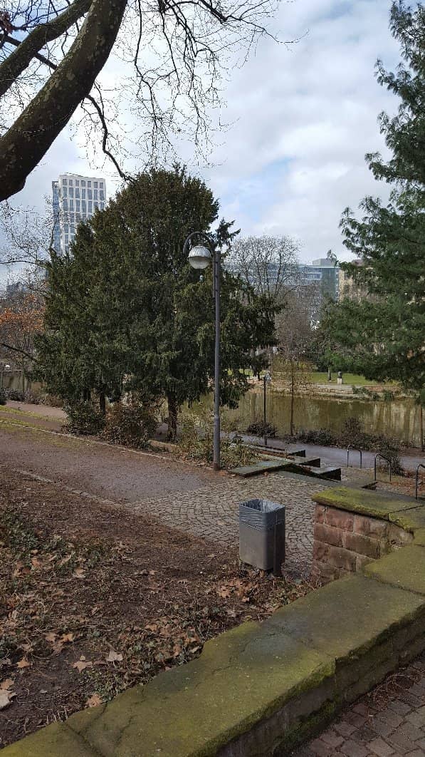 Sprawling Green Spaces