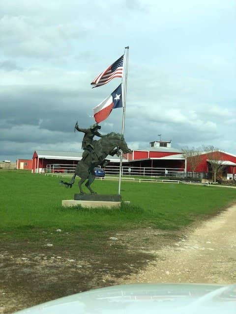 Dry Reds for Connoisseurs