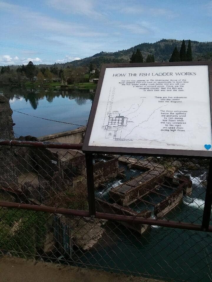 Fish Ladder Viewing Area