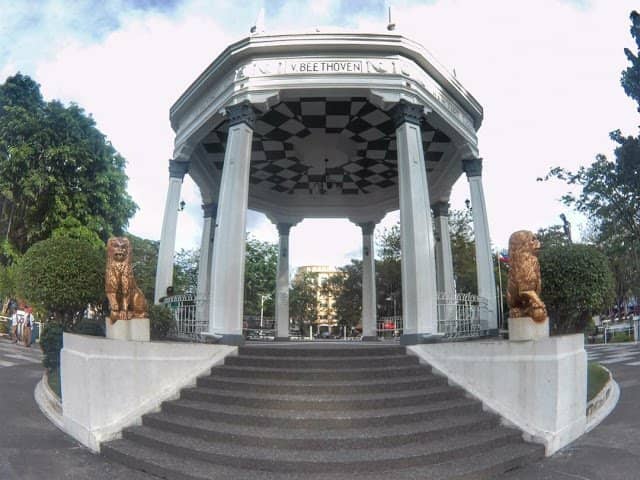 Lush Greenery & Checkered Tiles