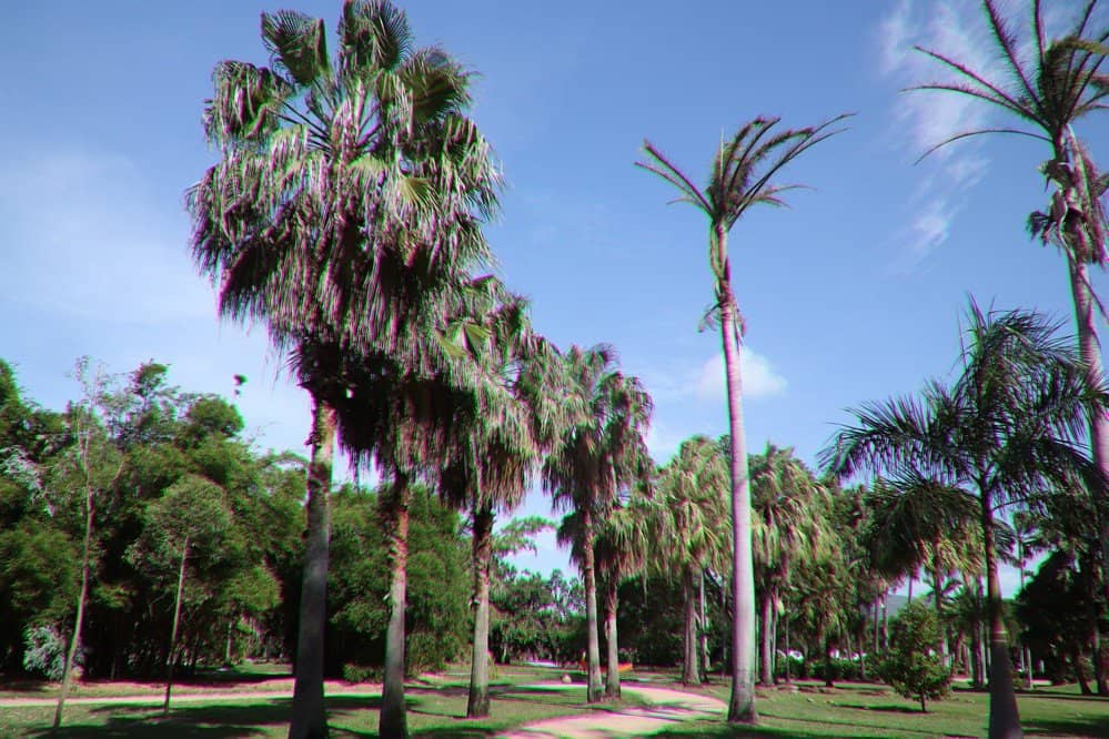 Dragon and Aslan Statues