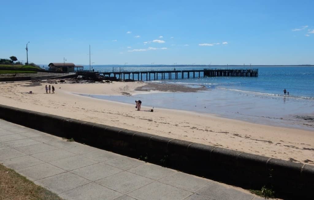 Lively Foreshore